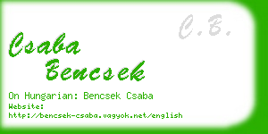 csaba bencsek business card